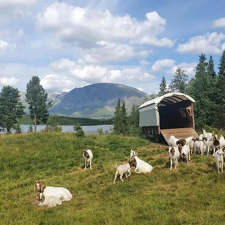 In With Sauna * Hemsedal
