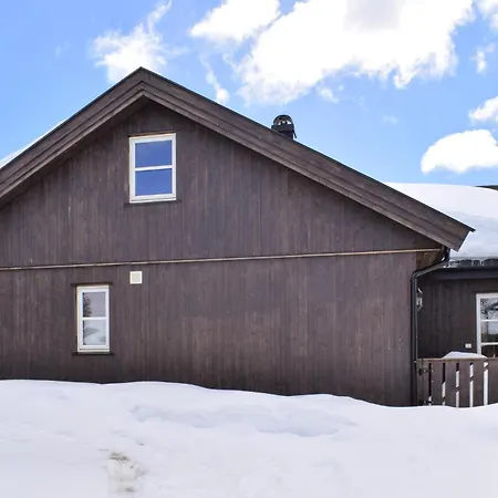 Holiday home In With Sauna Hemsedal