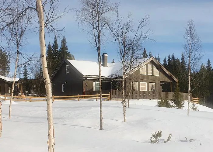 In With Sauna Hemsedal